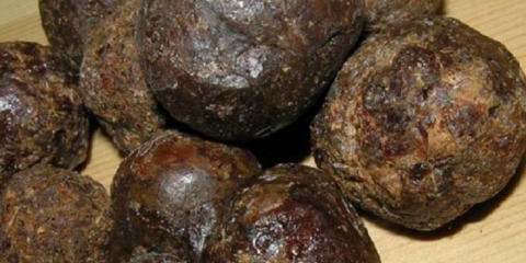 Upotreba propolisa: kako žvakati